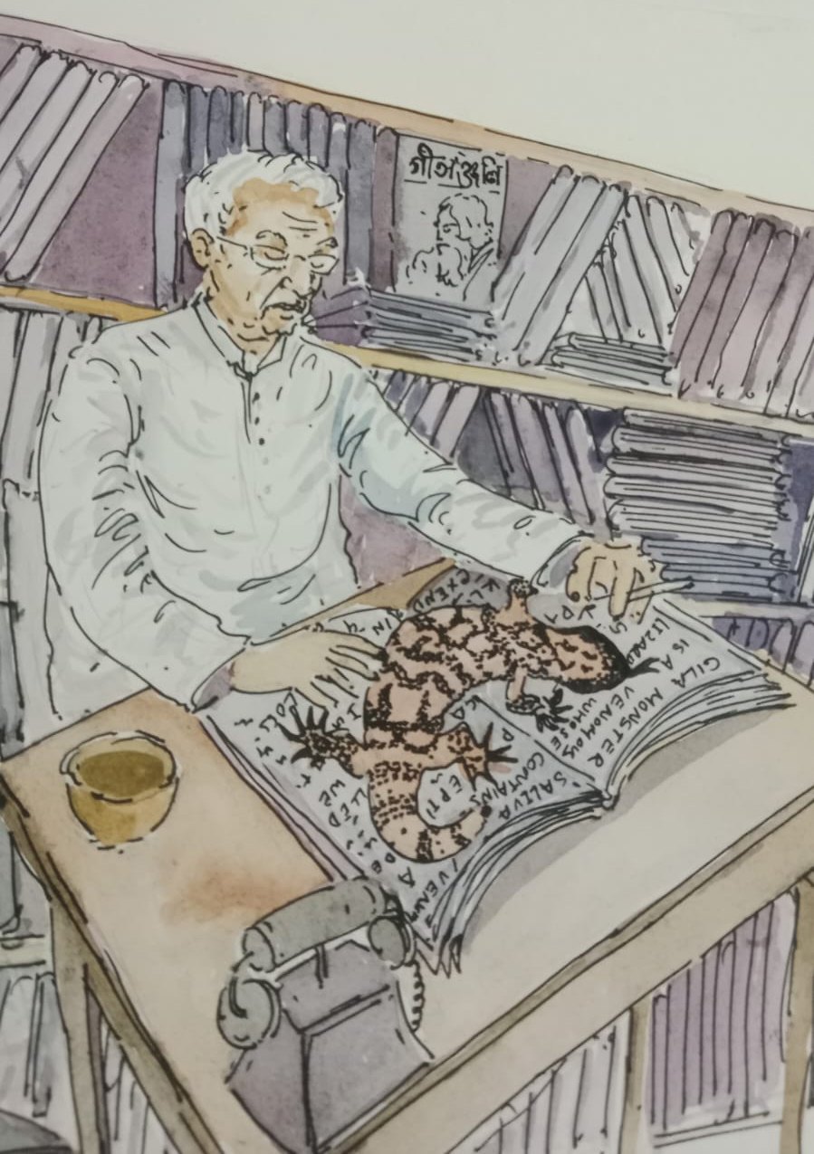 Watercolour of Sundar at his desk among bookshelves, studying an open book with a Gila monster drawn across its pages